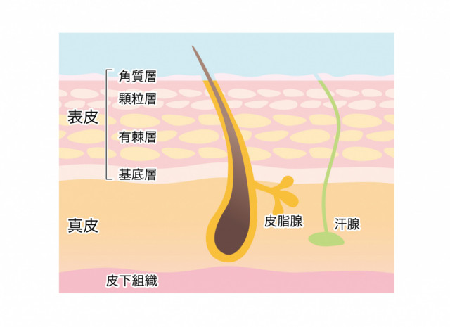 不調の原因は?