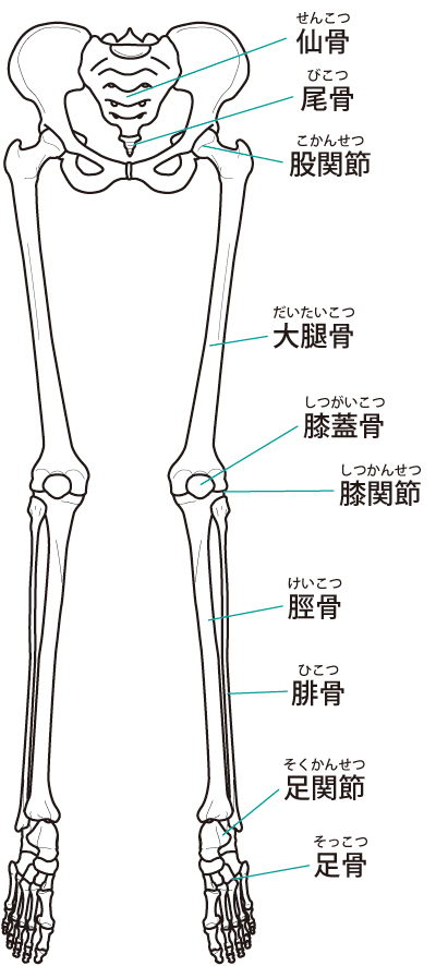 当院での外反母趾へのアプローチ